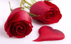 images (4)