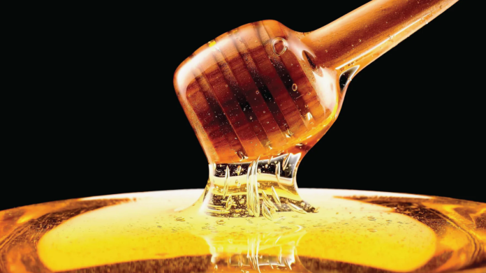 Honey Spell Honey Spell