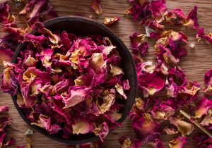 Rose Petals